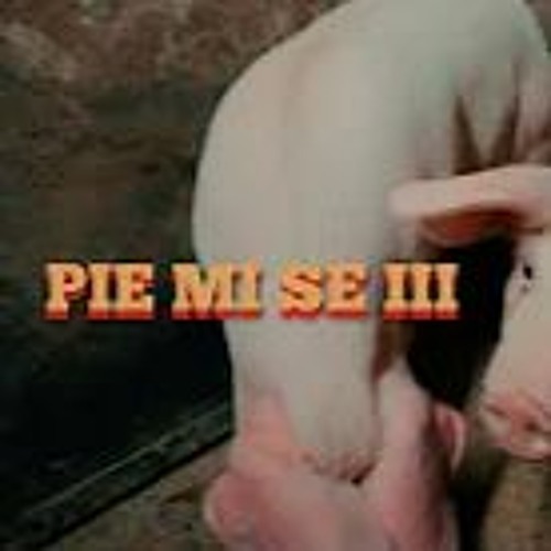 Marso x Bobkata x Tsvetina - Pie mi se III