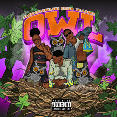 Owl (feat Jamie Tha Real One & Lil Larry)