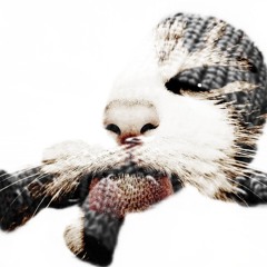 die with me prod p2wcate