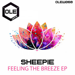 Feeling The Breeze (Extended Mix)