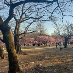 Quick walk around Yoyogi Park 代々木公園