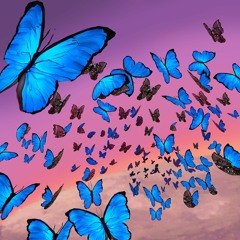 Chasing Butterflies