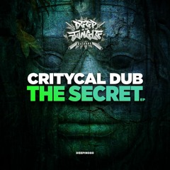 Critycal Dub & DJ Hybrid - The Secret