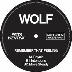 Frits Wentink - Remember That Feeling (WOLFEP070)