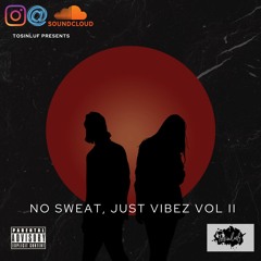 Chill Afrobeats Mix 2022 -No Sweat, Just Vibez Vol II