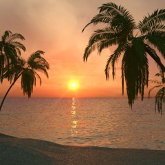 Jazzy Sunset