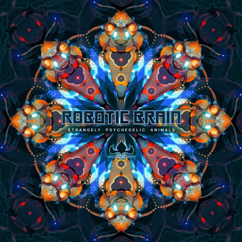 Robotic Brain - Platypus Splash