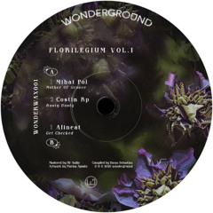 A1. Mihai Pol - Mother Of Groove