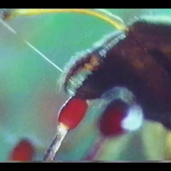 Chapter 3: Marlon Venus' self help guide