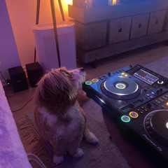 Living Room Session 1