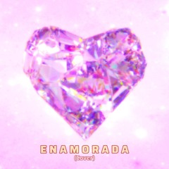 Enamorada - Miranda! (Cover)
