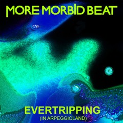 Evertripping (in Arpeggioland)  -  by More Morbid Beat