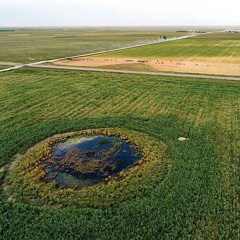 Dry Wetlands & Ft. Robinson turns 150