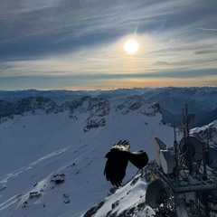 The xx - Crystalised (Hard Techno Bootleg)