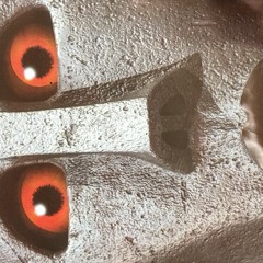 Bapex (prod. Xan Says)