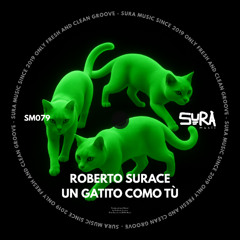 Roberto Surace - Un Gatito Como Tù