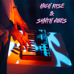 HIGH RISE AND SYNTH VIBES