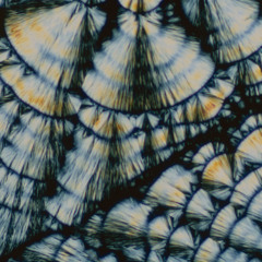 Circle Packing w/ Occo 041125