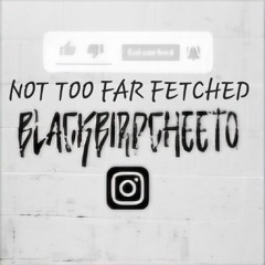 CHEETO - NOT TOO FAR FETCHED