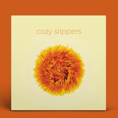 Cozy Slippers -  I Can't Keep You Safe