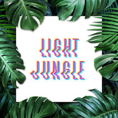 Light Jungle