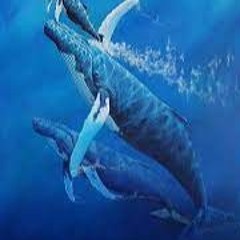 15 FATHOMS DOWN