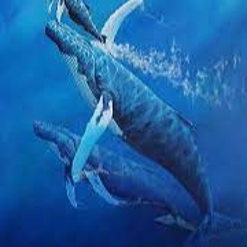 15 FATHOMS DOWN