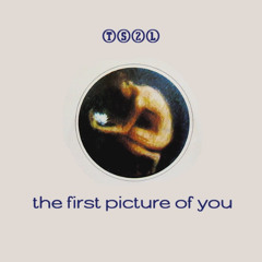 The first picture of you (in the style of The Lotus Eaters)