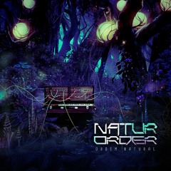 Naturorder- Natumare(Original Mix)