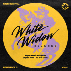 Magnetic Revival - Midnight Data (Original Mix)