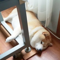 Mời Em Về Với Đội Của Anh - DJ Gin, Big Daddy Mix