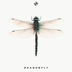 Zoozu - Dragonfly