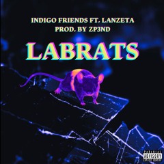 INDIGO FRIENDS SPECIAL - LABRATS prod. by zp3nd
