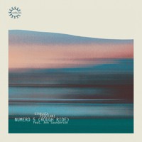 Gianluca Pegoiani Feat Ann Saunderson Numero 5 Rough Ride Rebd068r By Rebirth Records
