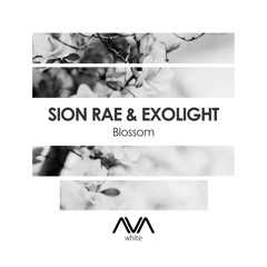 Blossom (Extended Mix)