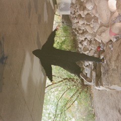 THE HILLS OF TOMMORROW PROD. VAN