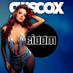 Gijs Cox - RIDDM 4 (The Party Megamix Edition)