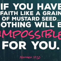 Cursing Fig Trees and Speaking to Mountains!