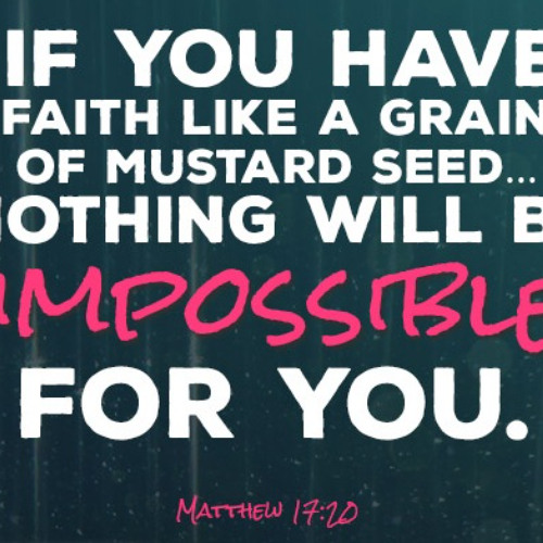 Cursing Fig Trees and Speaking to Mountains!