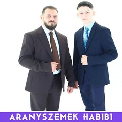 Aranyszemek - Habibi (Walnut & Wazzup Remix)