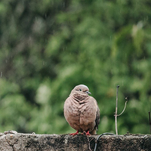 Stream マーフィー眠りながら成功する1章この潜在意識の力で あなたは 何でもできる人 になる By 小松芳野 Listen Online For Free On Soundcloud