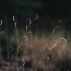 Eurydice, for violin and piano