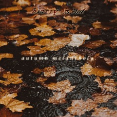 blurry mind - autumn melancholy.