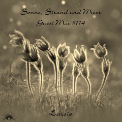 Sonne, Strand und Meer Guest Mix #174 by Larsiø