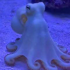 Pillars(ft. Qbone prod. wan3s)