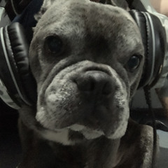 DNB allsorts Mix