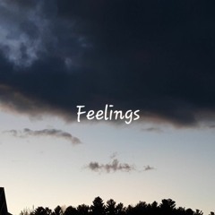 Feelings