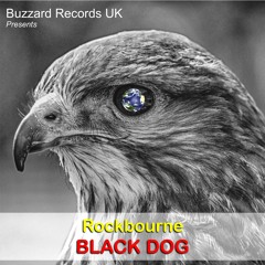 Rockbourne  -  Black Dog (Demo with Slide Guitar)