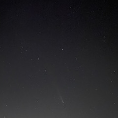 z900