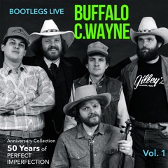 Willie, Waylon And Me (Live)